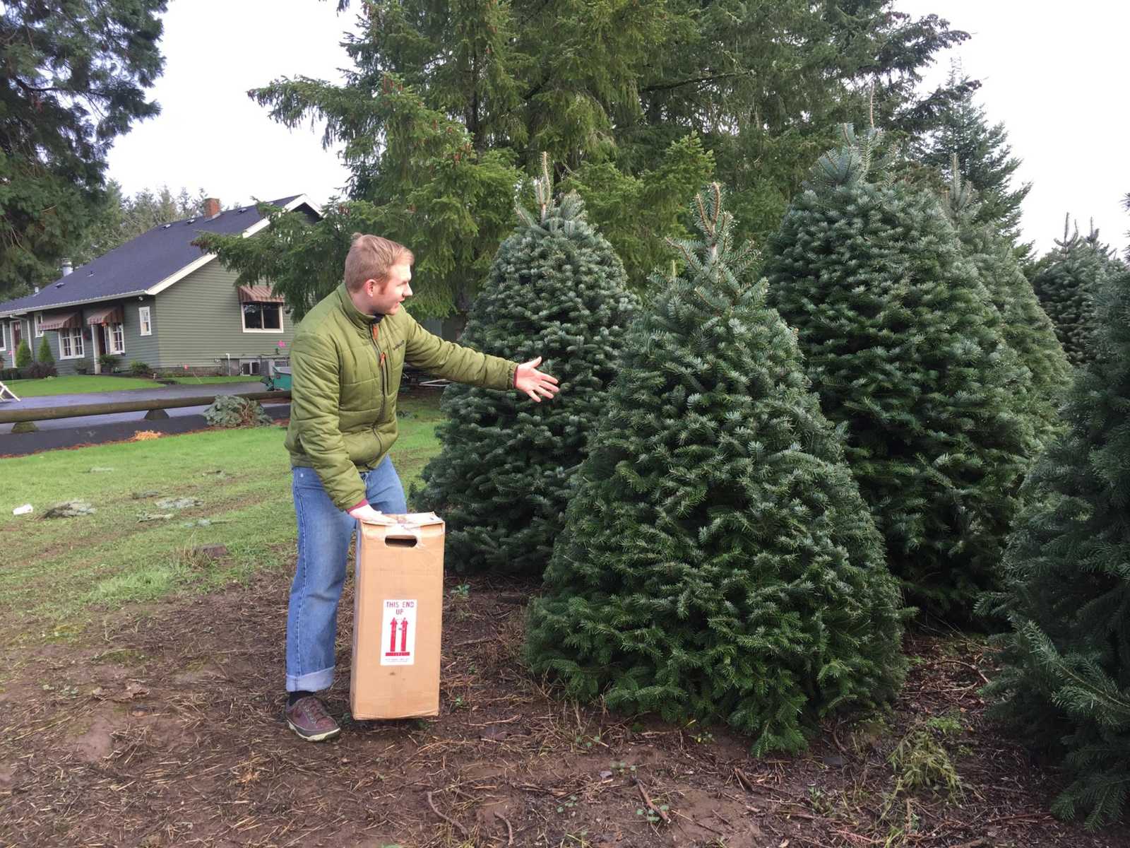 man has box of embryos at his feet as he gestures to a tree