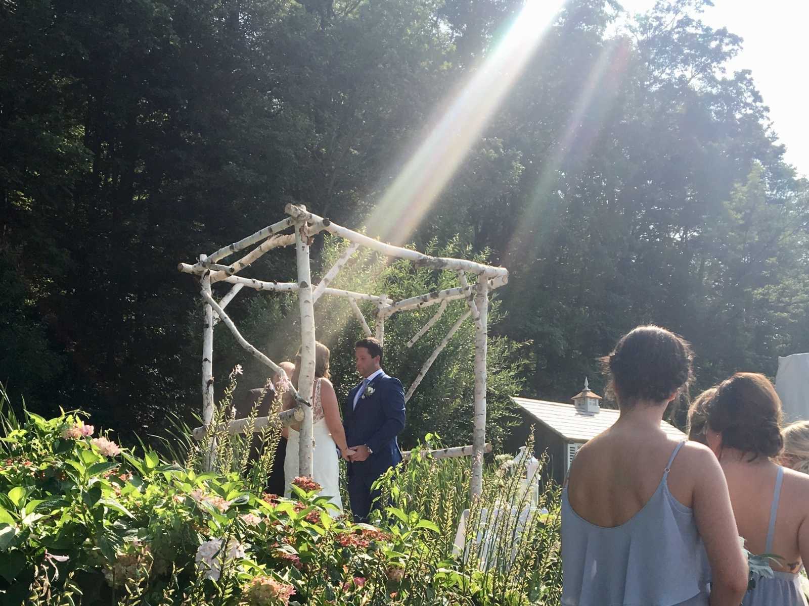 bride and groom getting married under a birch tree structure hand in hand with sun shining down on them