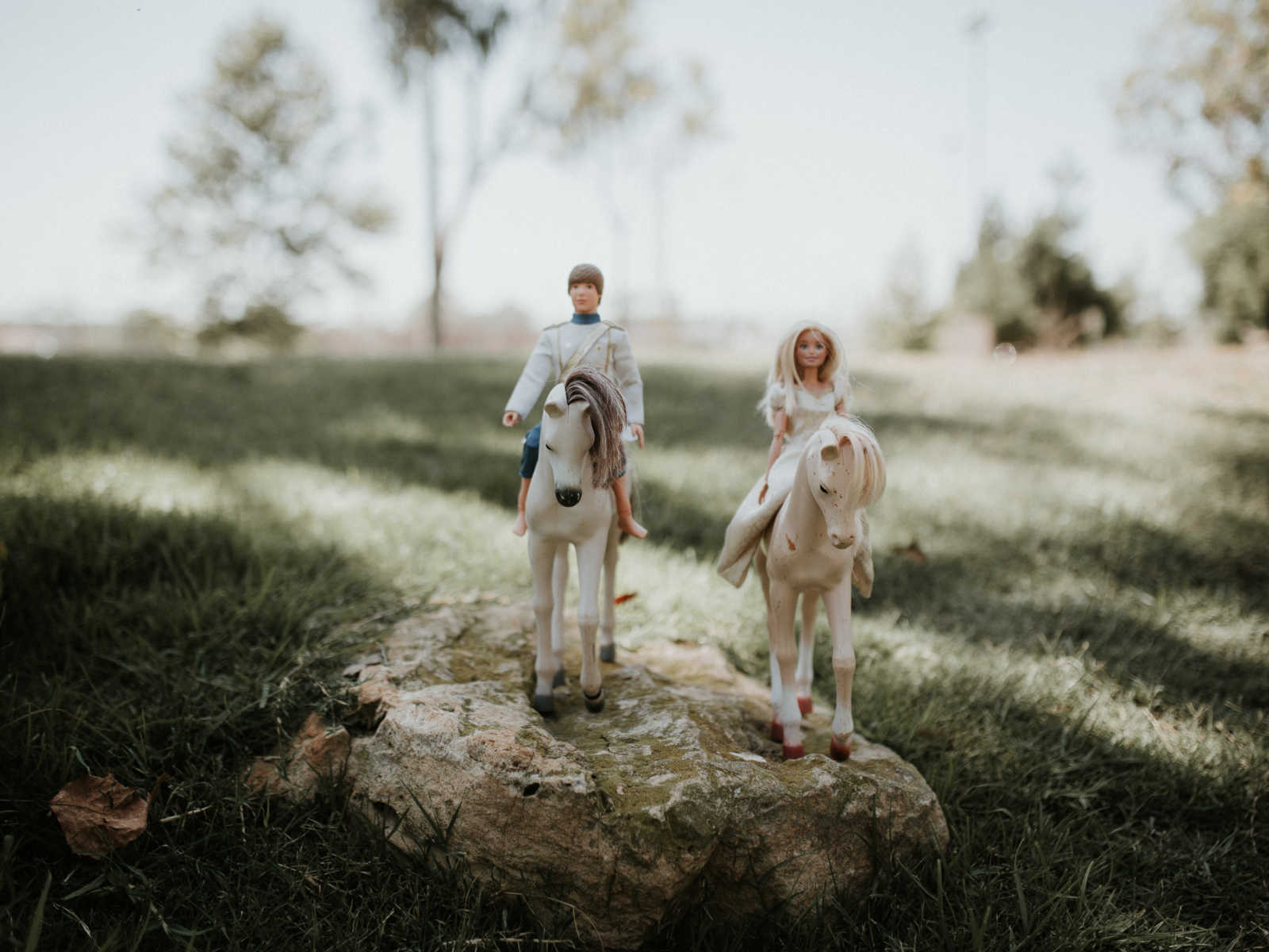 ken and barbie are sitting toy horses next to each other on a rock