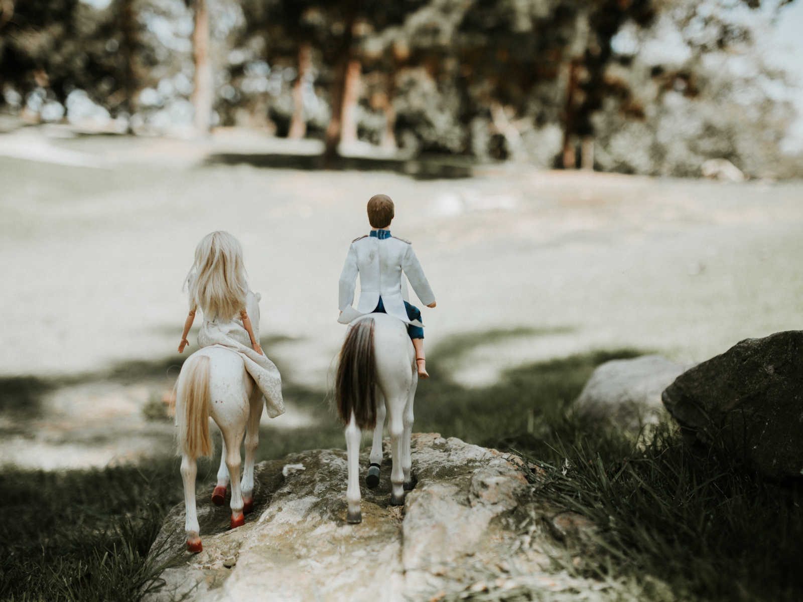 backs of ken and barbie sit on toy horses on a rock 