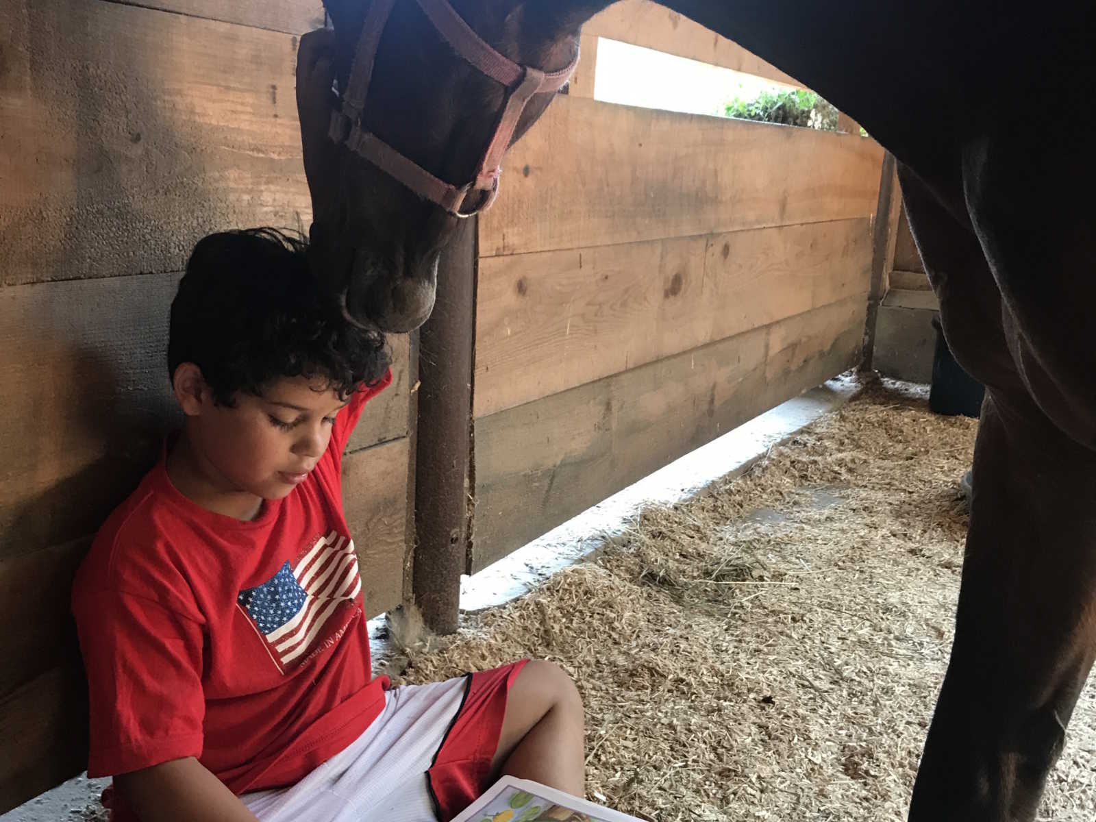 young boy sits on ground of horse stall reading book with arm in the air to pet horses head