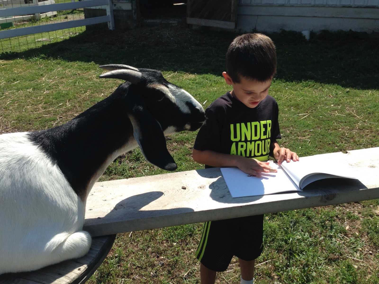 young boy stands over wooden plank while reading a book and a goat is standing to the left of him
