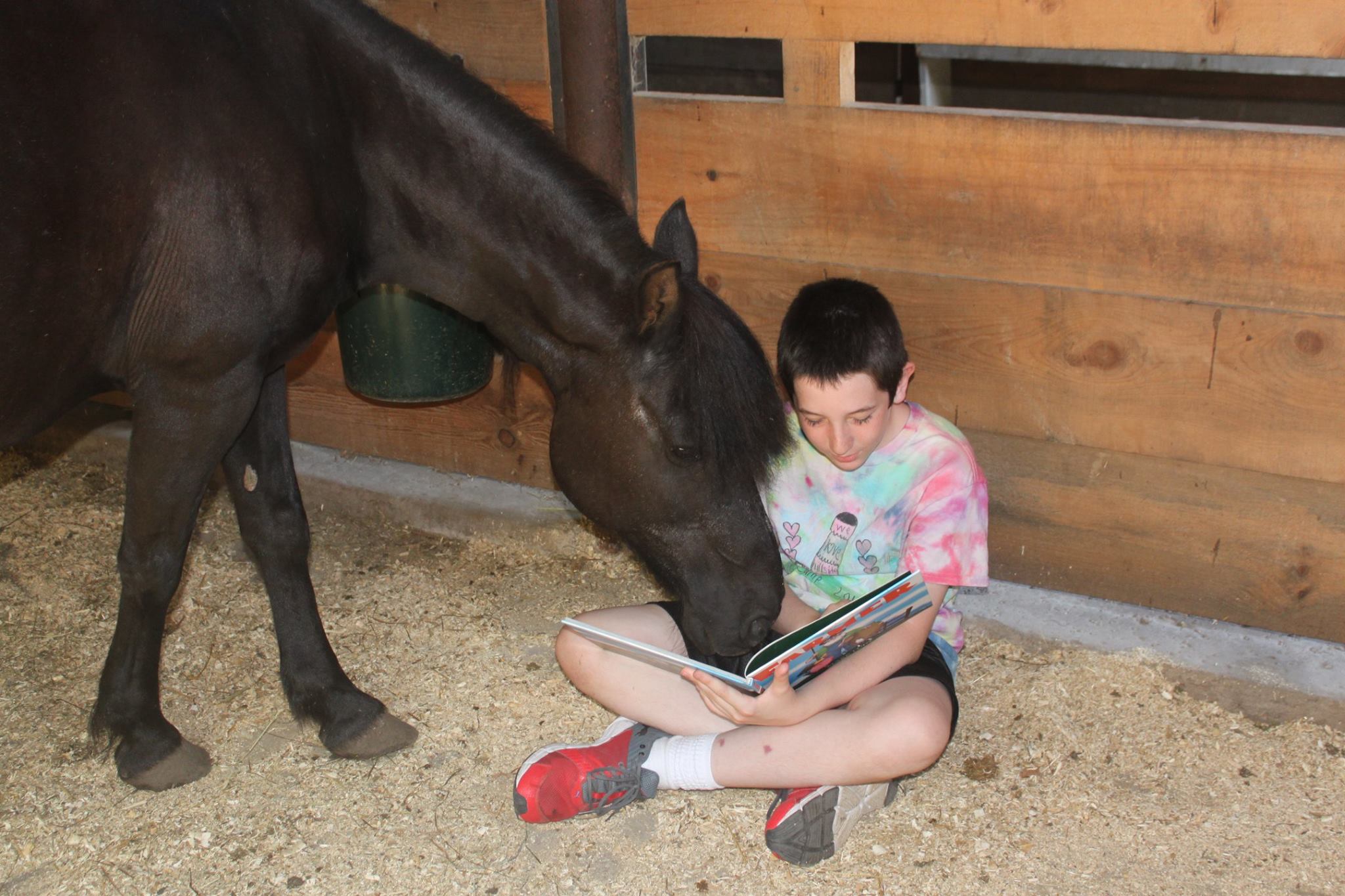 Farm animal therapists help children overcome trauma – Love What Matters