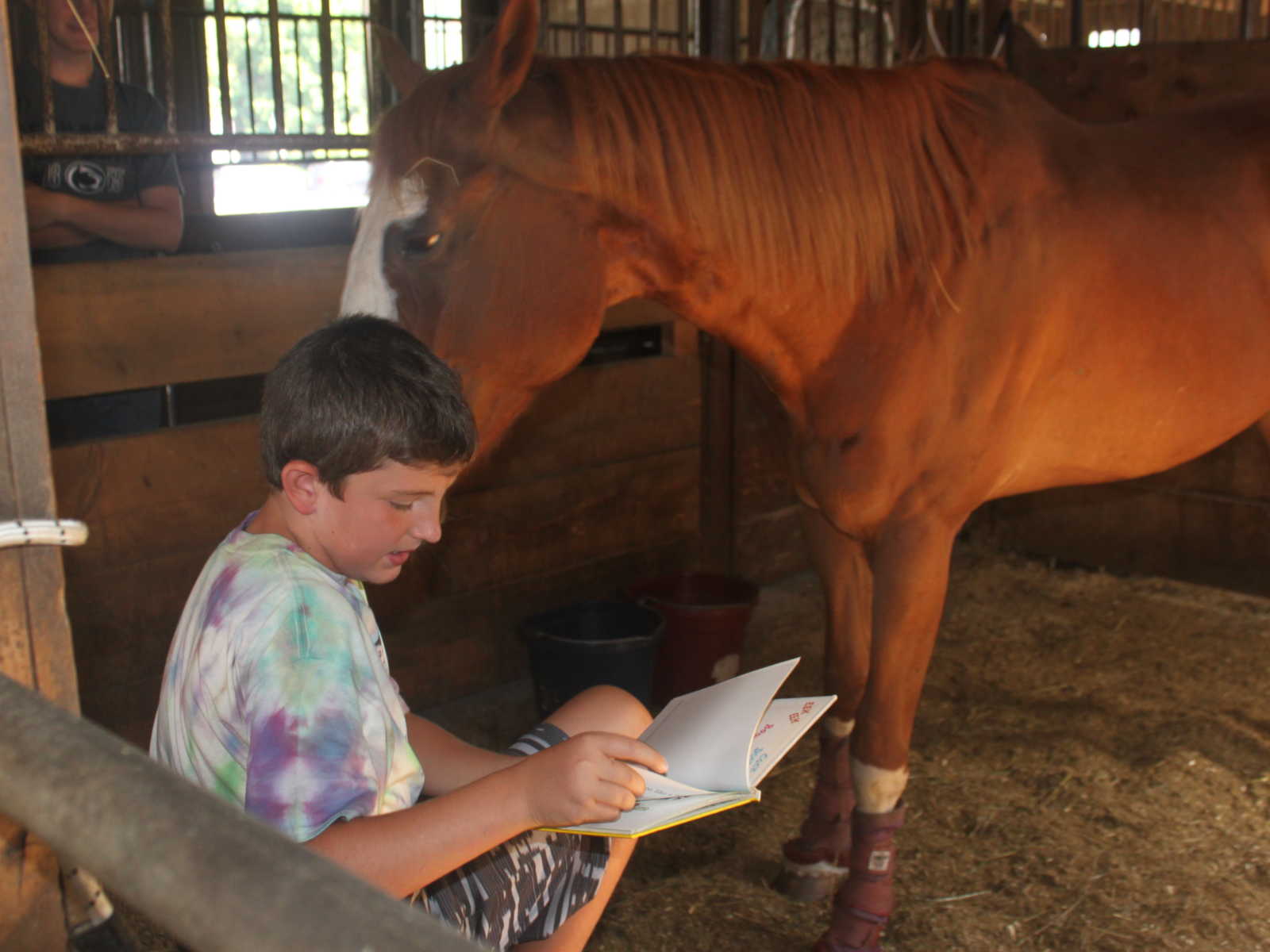 boy sits in horse stall reading a book with horse standing next to him while a girl watches outside of stall