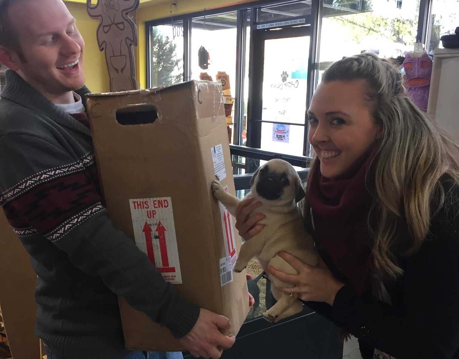 man holding a box of embryos while woman holds puppy who has his paw on the box