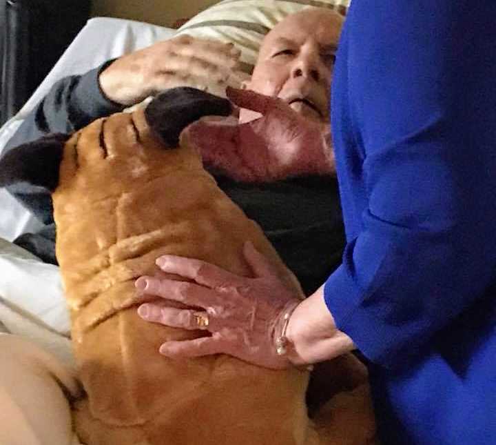 woman leans over bed and offers hand to elderly man who has stuffed dog on his chest