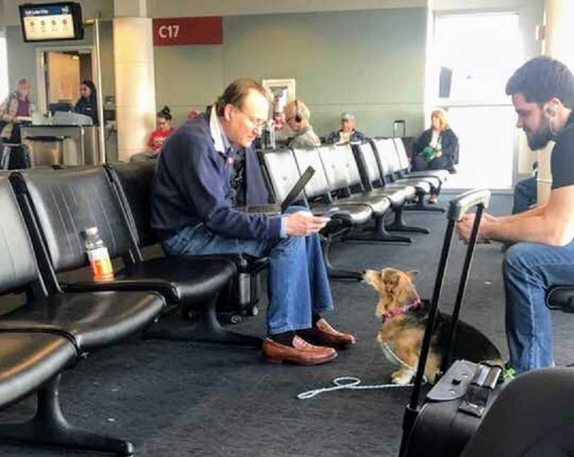 dog sitting in airport looking up at man on his computer while another man in headphones watches