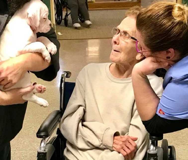worker holds puppy to resident in wheelchair while resident makes worried face while another worker leans on wheelchair