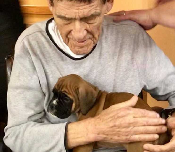 elderly man looks down while puppy stands in his lap