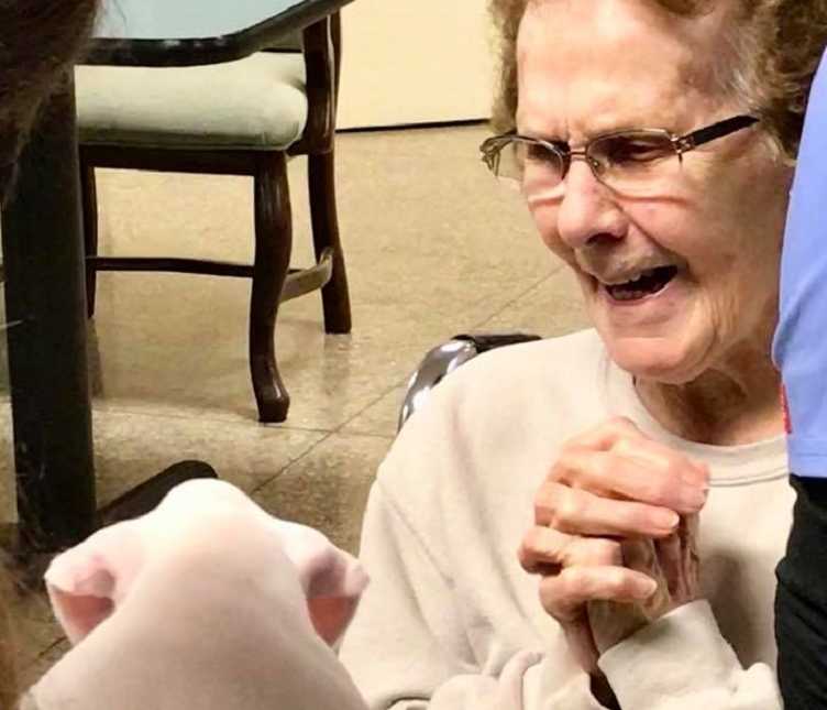 elderly woman clasps her hands together and smiles at the puppy being held up to her