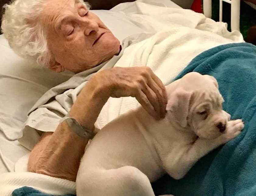 nursing home resident lies in bed petting a white puppy that is lying next to him