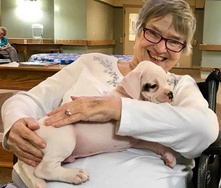 nursing home resident smiles as puppy lays in her lap