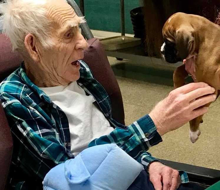 elderly man sits in chair while someone holds a puppy out for him to pet