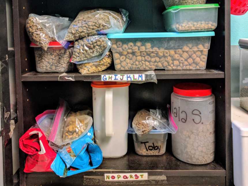 shelves of dog foot in ziplock bags and plastic containers alphabetized by dog name