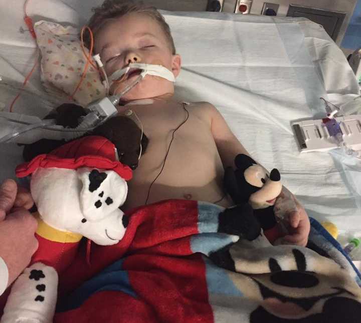 Little boy who suffered from severe flu like symptoms asleep with stuffed animals