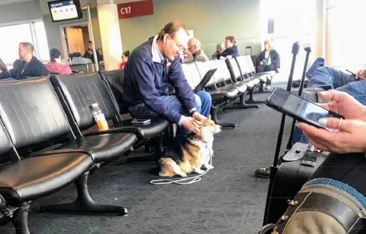man leans over to pet dog while sitting at airport gate