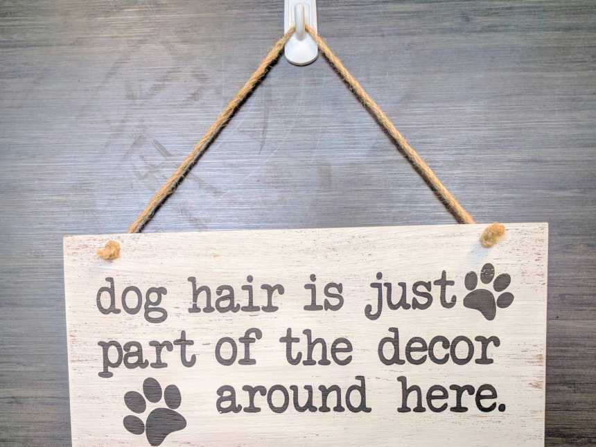 wooden sign hanging on white hook that says, dog hair is just part of the decor around here" with two paw prints