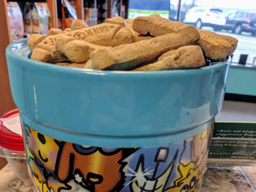 dog bones in blue bowl with cartoon dogs on it