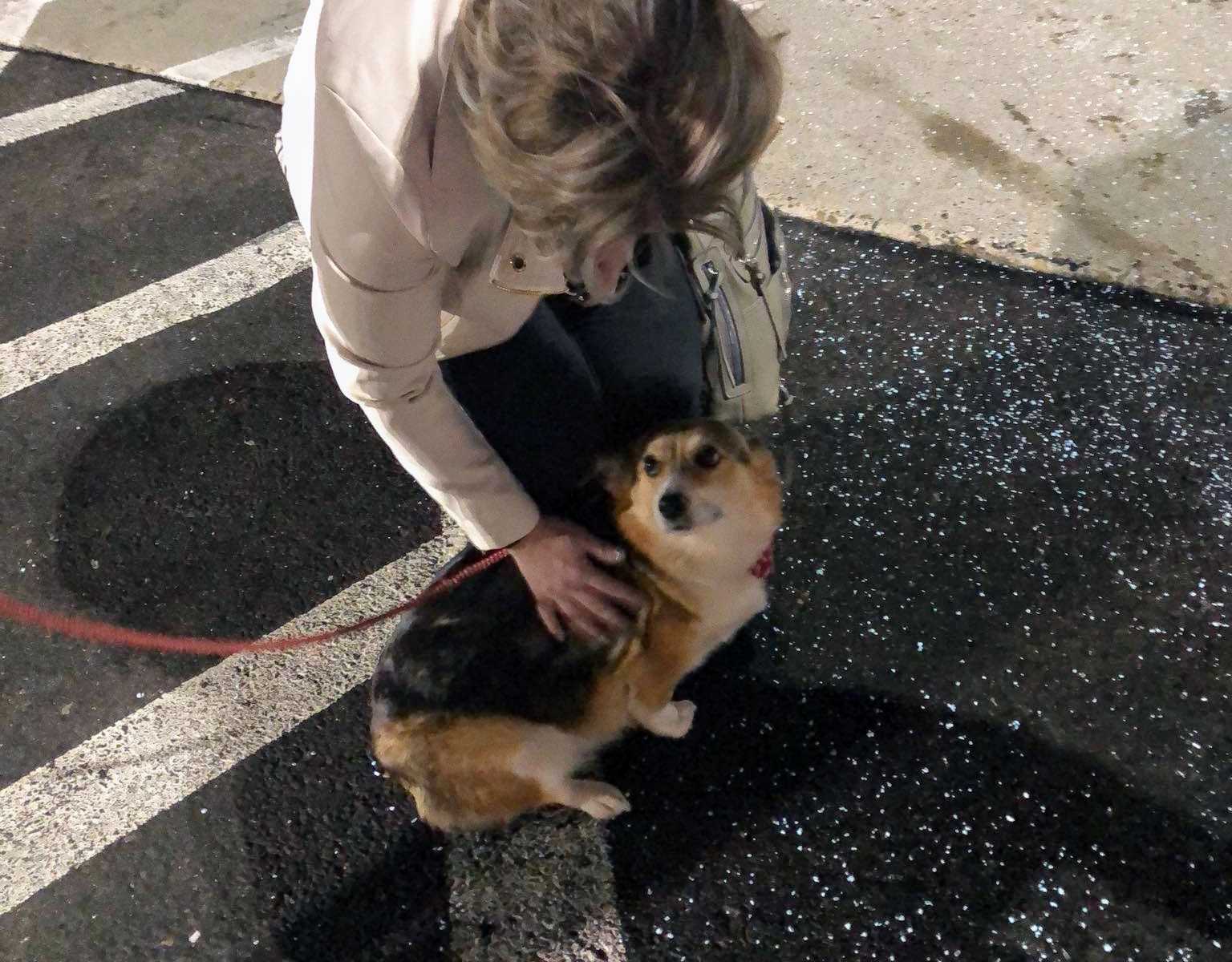 woman crouching down to pet dog in parking lot with a red leash
