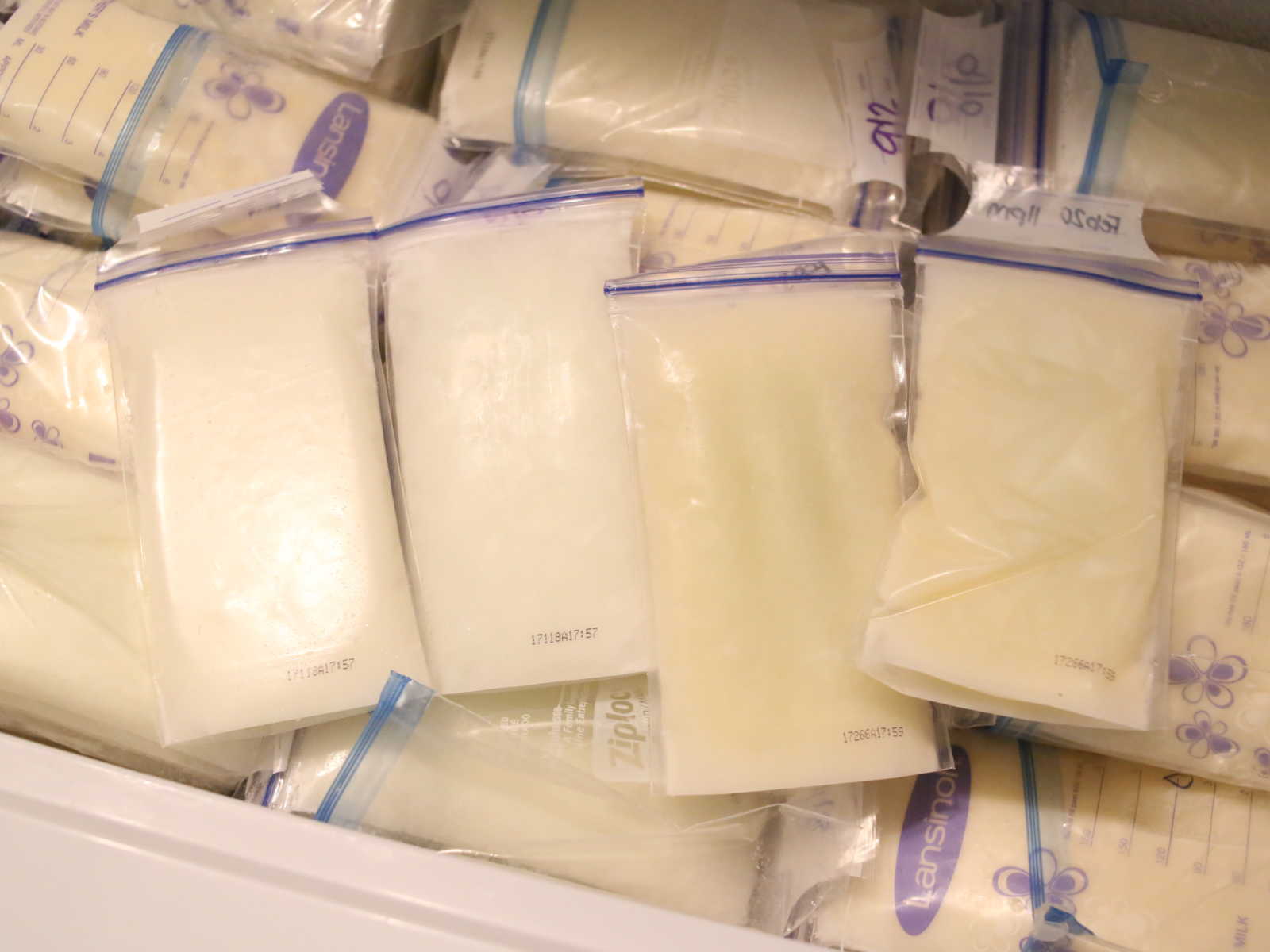 Stacks of frozen plastic bags with breast milk inside