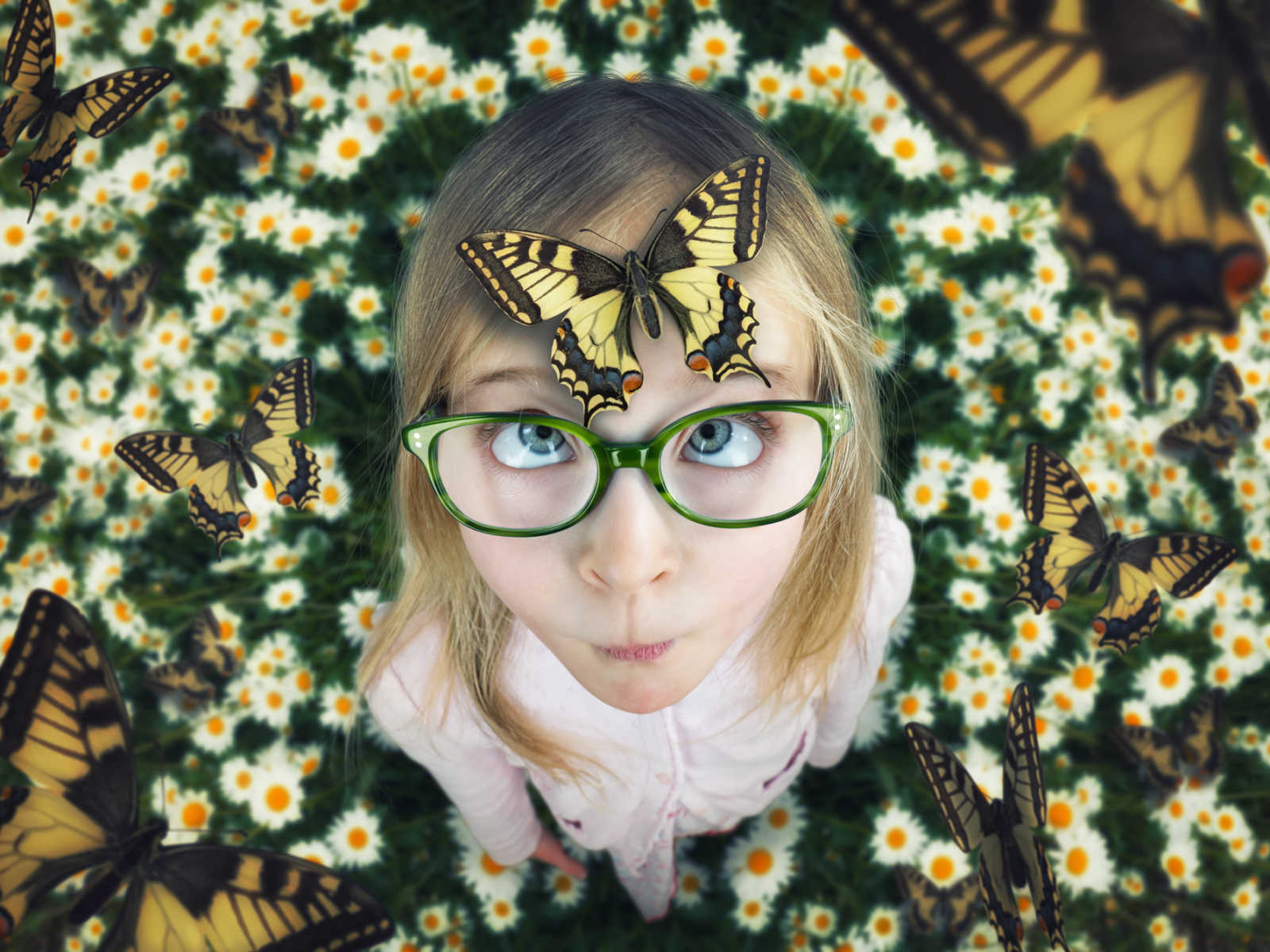 aerial view young girl with green glasses cross eyed to look at animated butterfly forehead in field of daisys