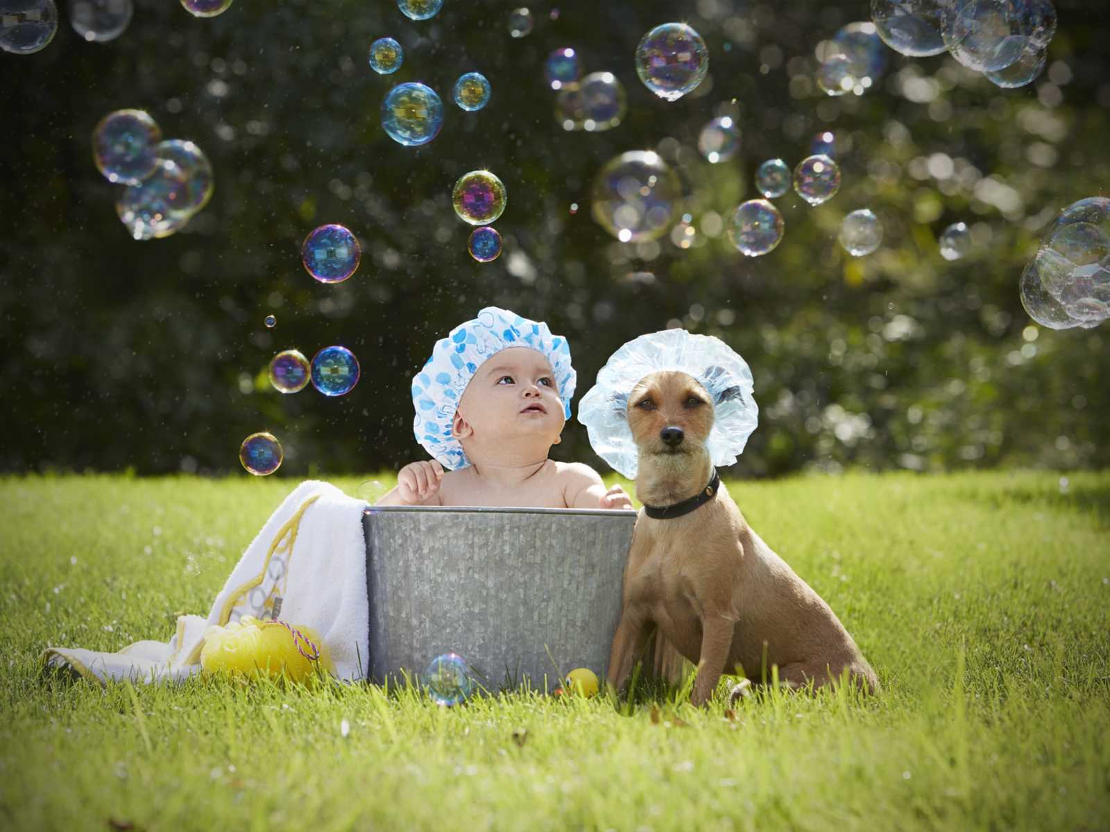 dog with shower cap sitting next to baby in bucket with shower cap on surrounded by bubbles 