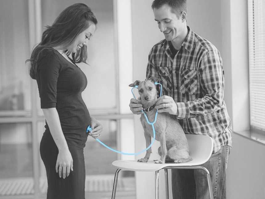 dog sitting on stool with male holding stethoscope in its ears listening to pregnant woman's stomach