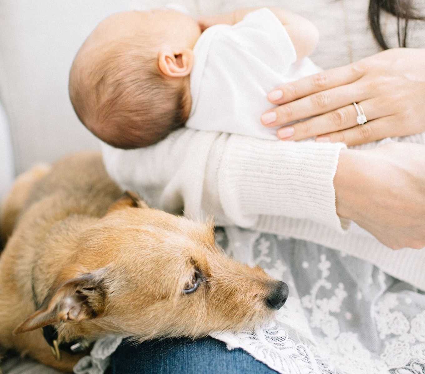 dog resting head on woman's lap with newborn baby sleeping in her arms