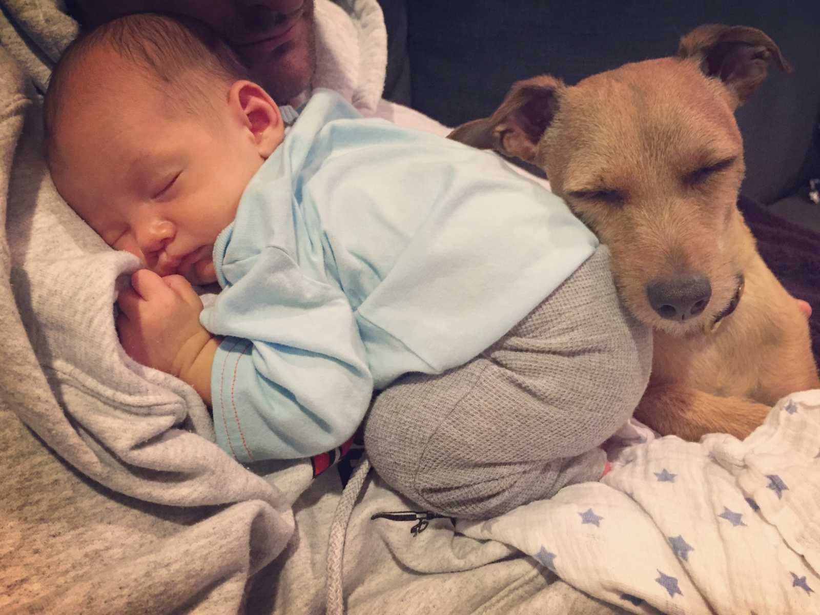 dog resting head on baby's back while baby is sleeping on mans chest