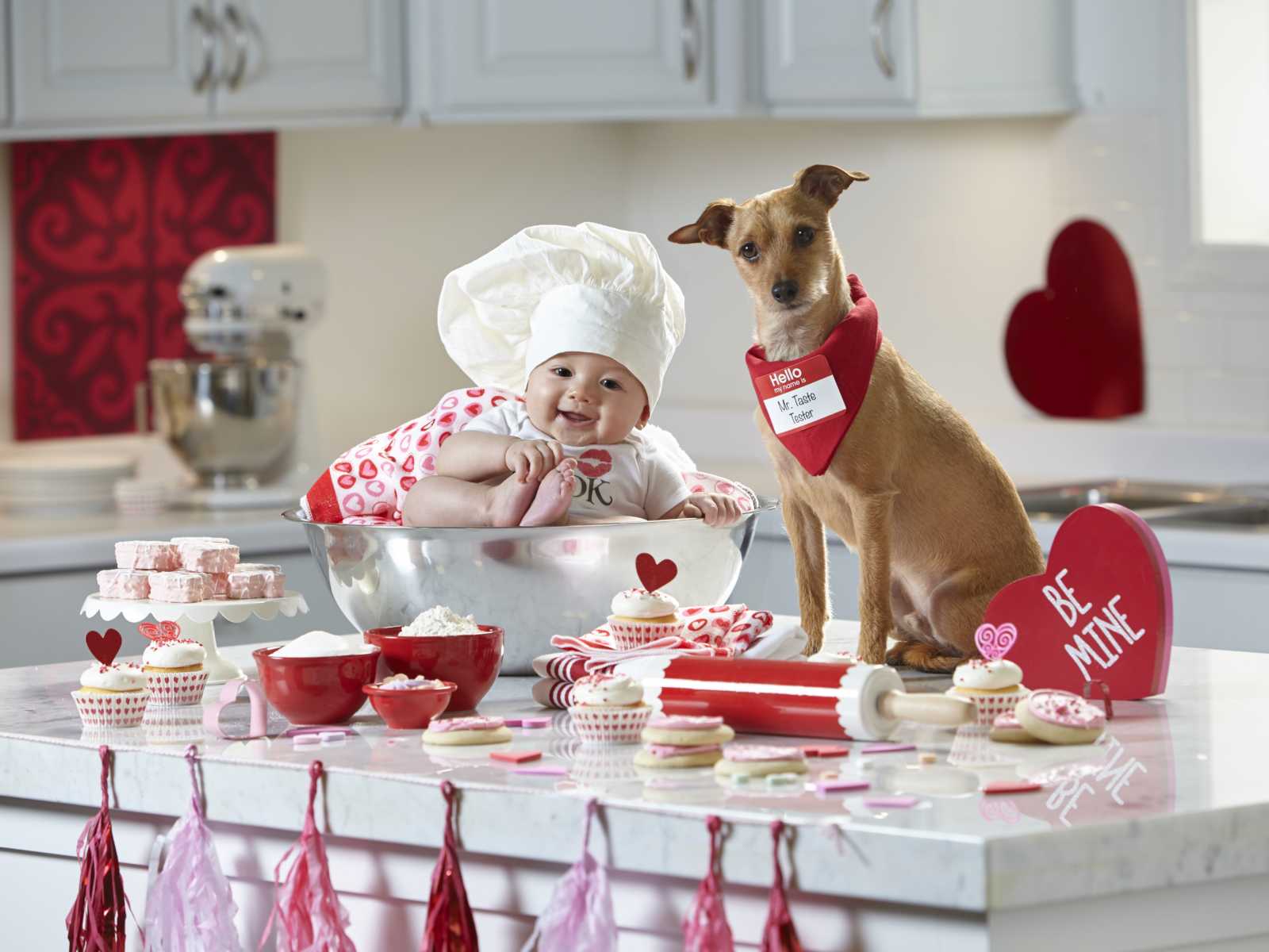 dog with red bandana sitting on kitchen counter with valentines decorations next to baby in mixing bowl with chefs hat on 