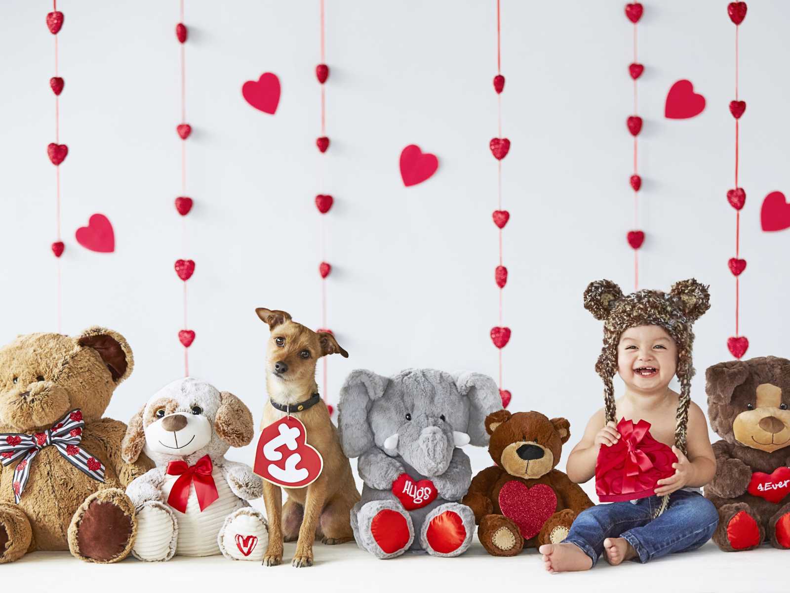 dog with "ty" heart logo around neck amongst stuffed animals and baby sitting next to them holding heart-shaped box 