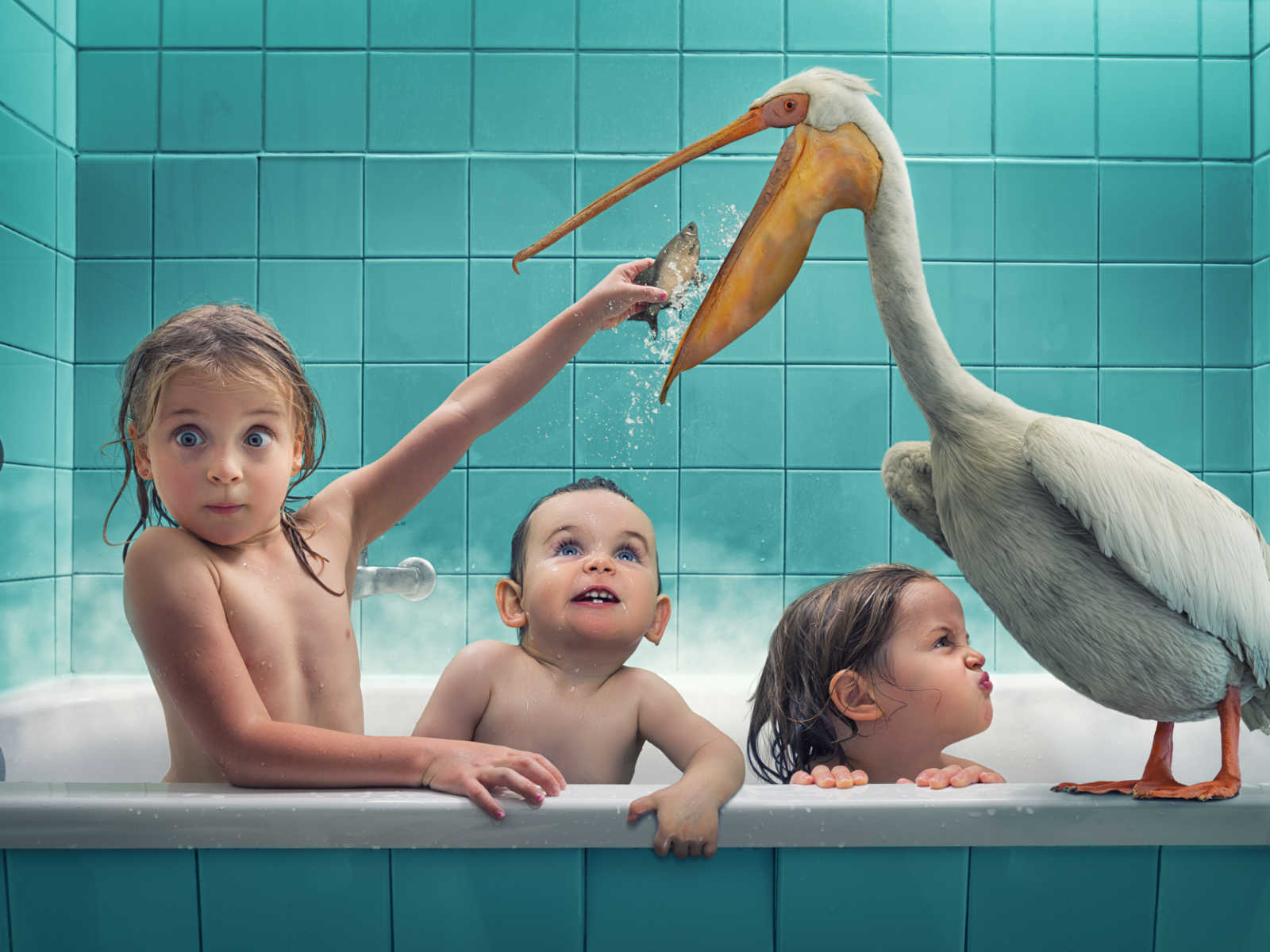 three toddlers sit in bath tub while oldest feeds animated fish to animated pelican