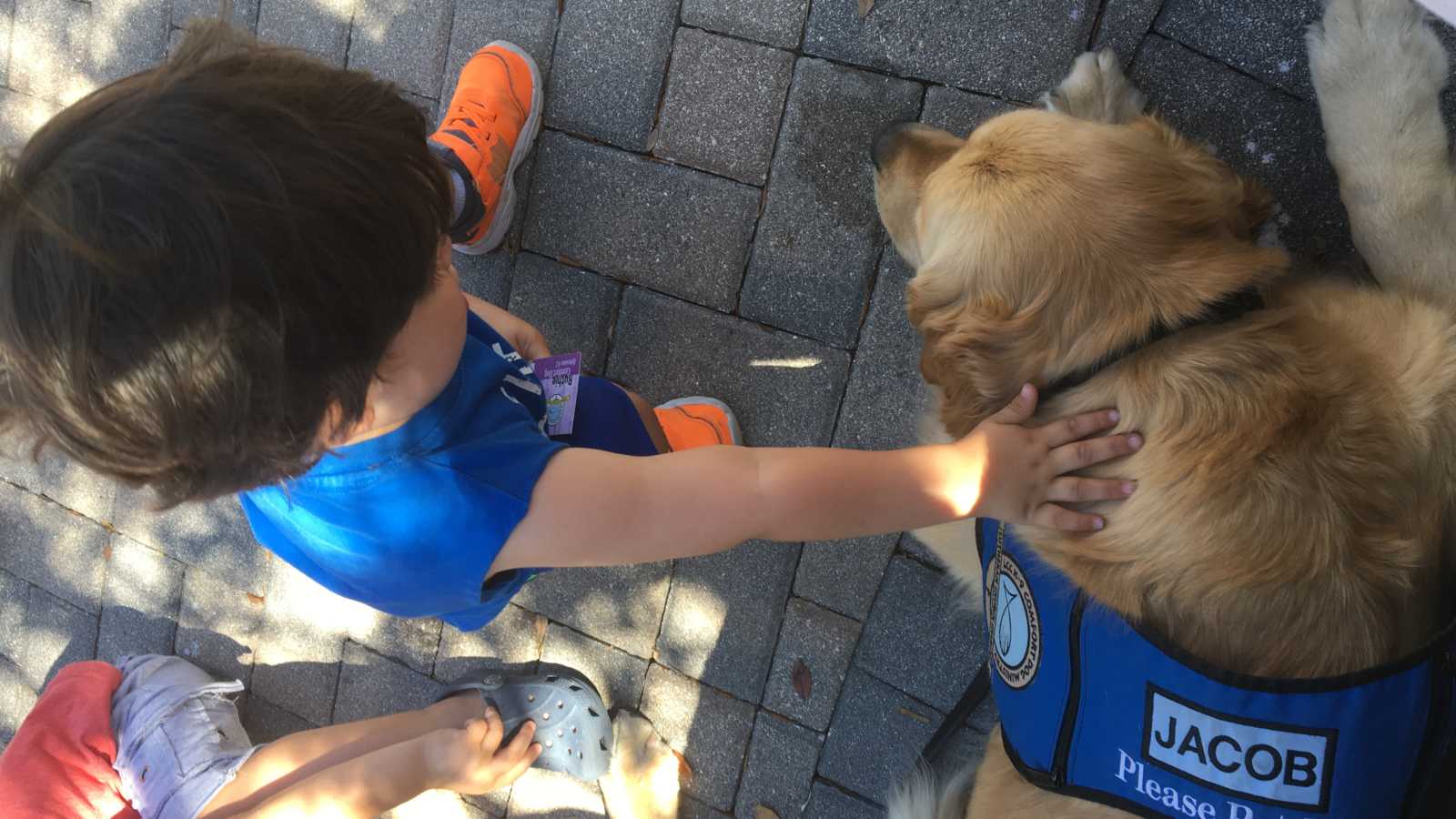 support dog with vest that says, "Jacaob" lies on ground while young boy pets his back