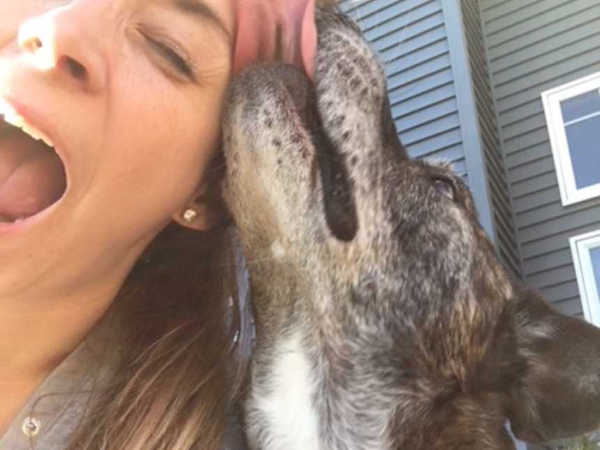 graying adopting dog licks the side of owners face while she takes a selfie laughing