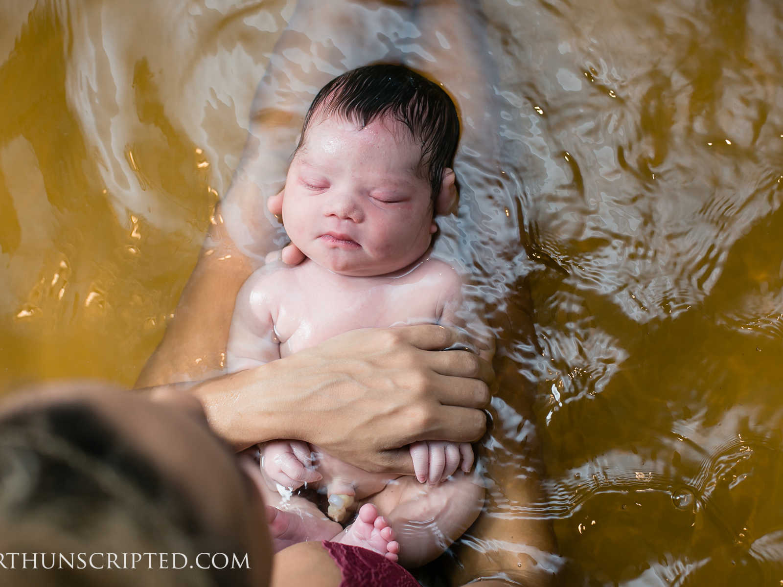 closeup of newborn being held in murky water in lap of mother