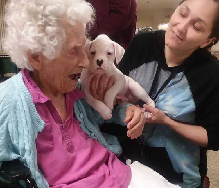 womans holds white puppy close to elderly woman in a wheelchair