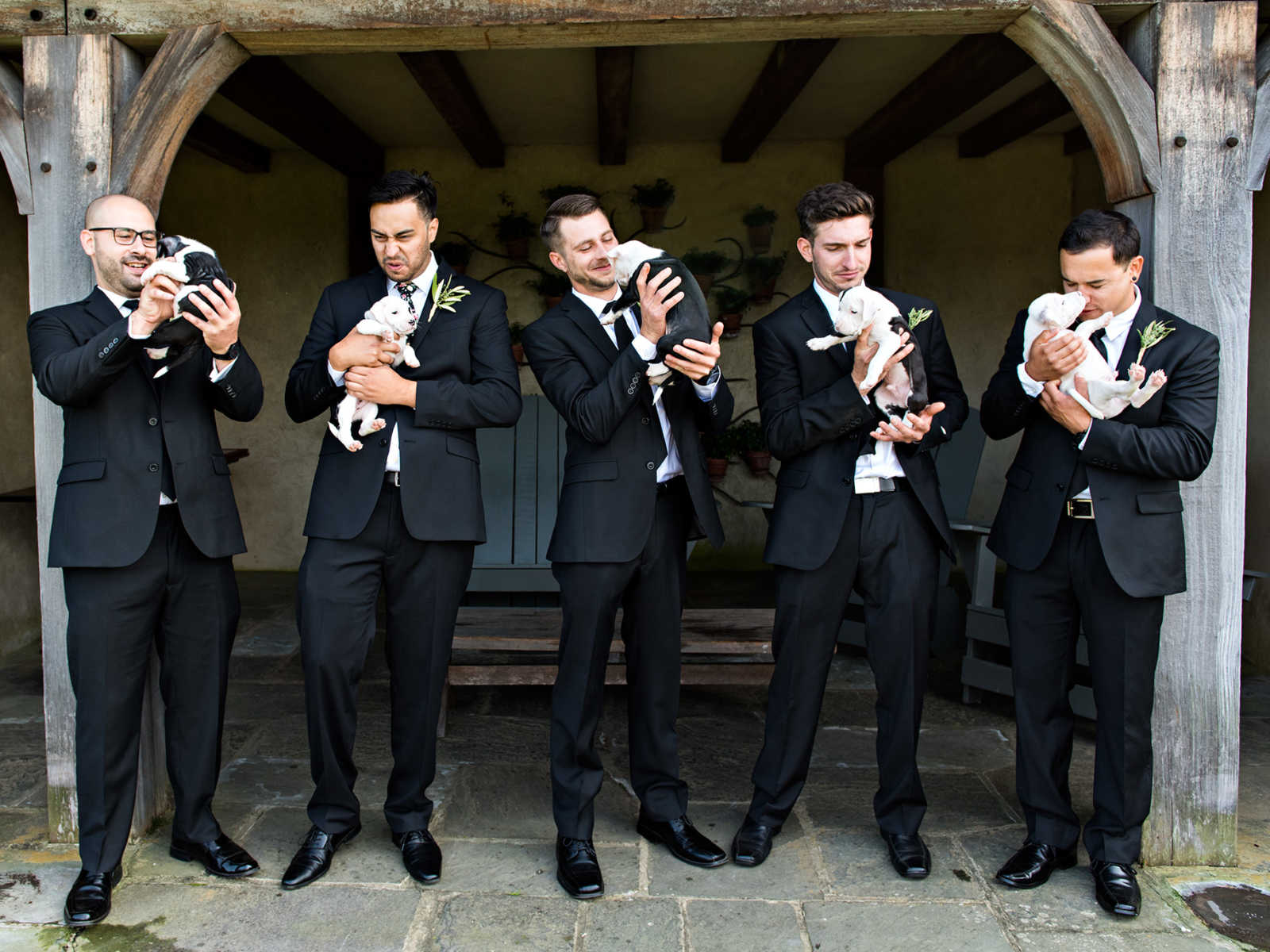 five groomsmen stand side by side while holding rescue puppies