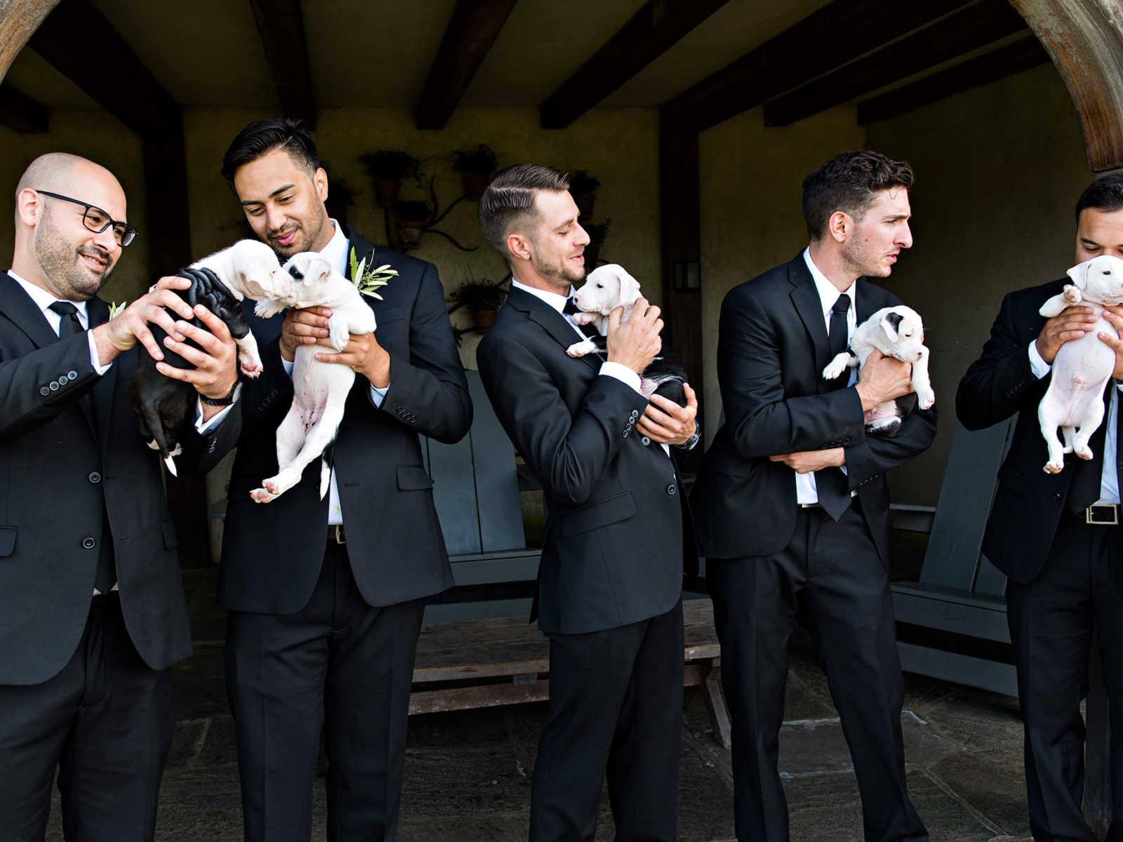 Two groomsmen hold up rescue puppies so that they are kissing while three others hold them to their chests