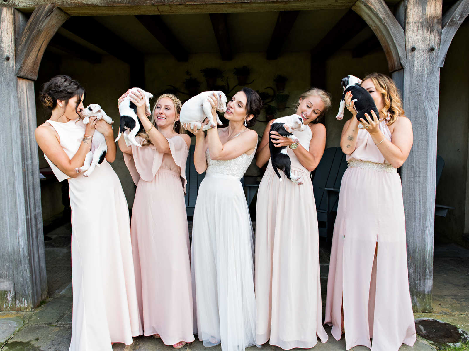Bride and bridesmaids hold up rescue puppies to look them in the eye