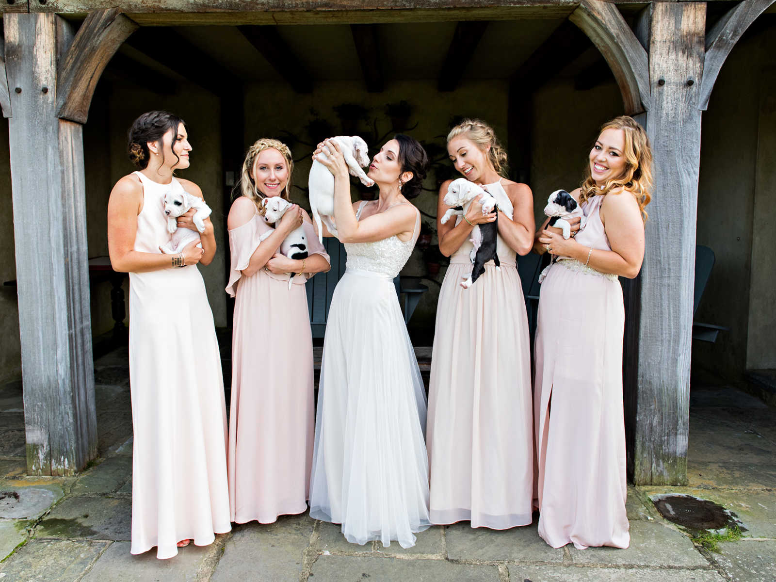 Bride and bridesmaids stand side by side all holding rescue puppies