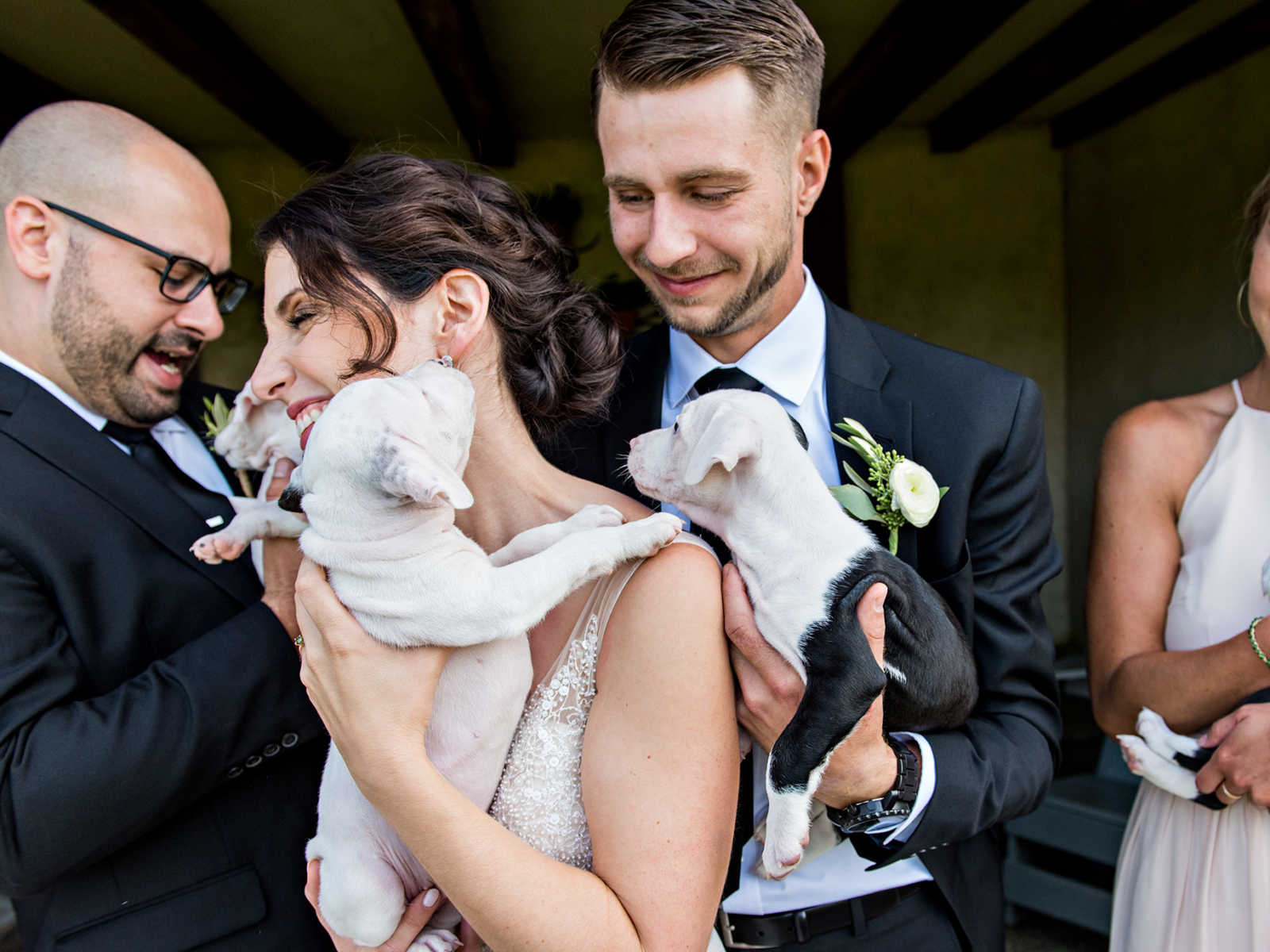 Bride holds rescue puppy to her chest while groom holds another puppy over her shoulder