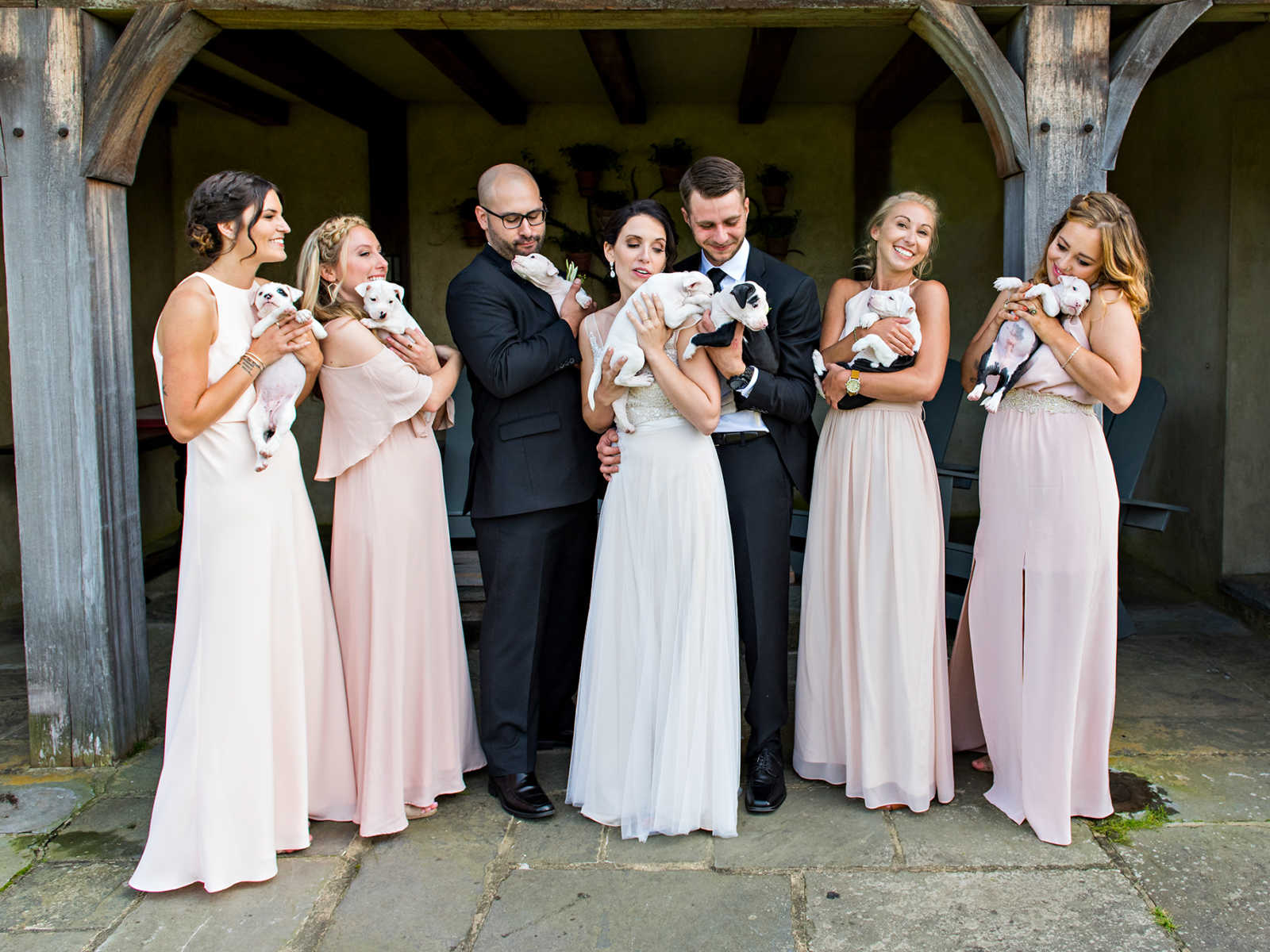 Bride and groom stand with members of their bridal party holding rescue puppies