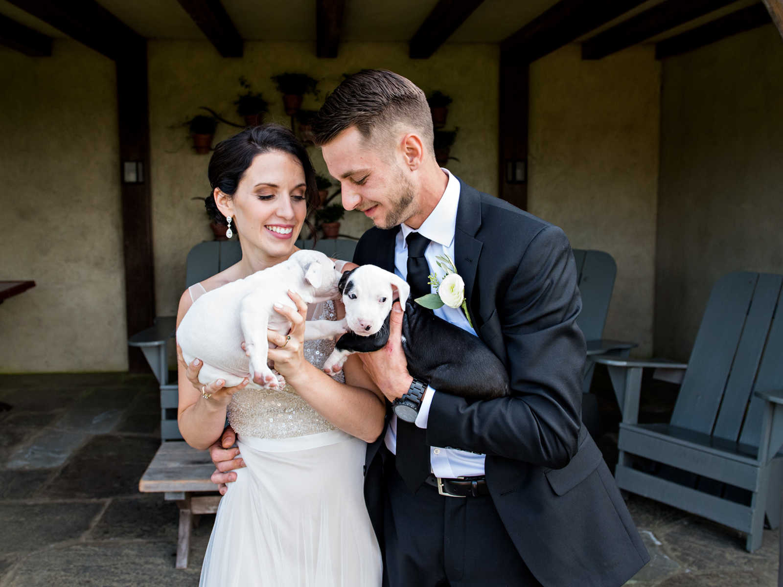 Bride and groom stare down at rescue puppy that bride is holding