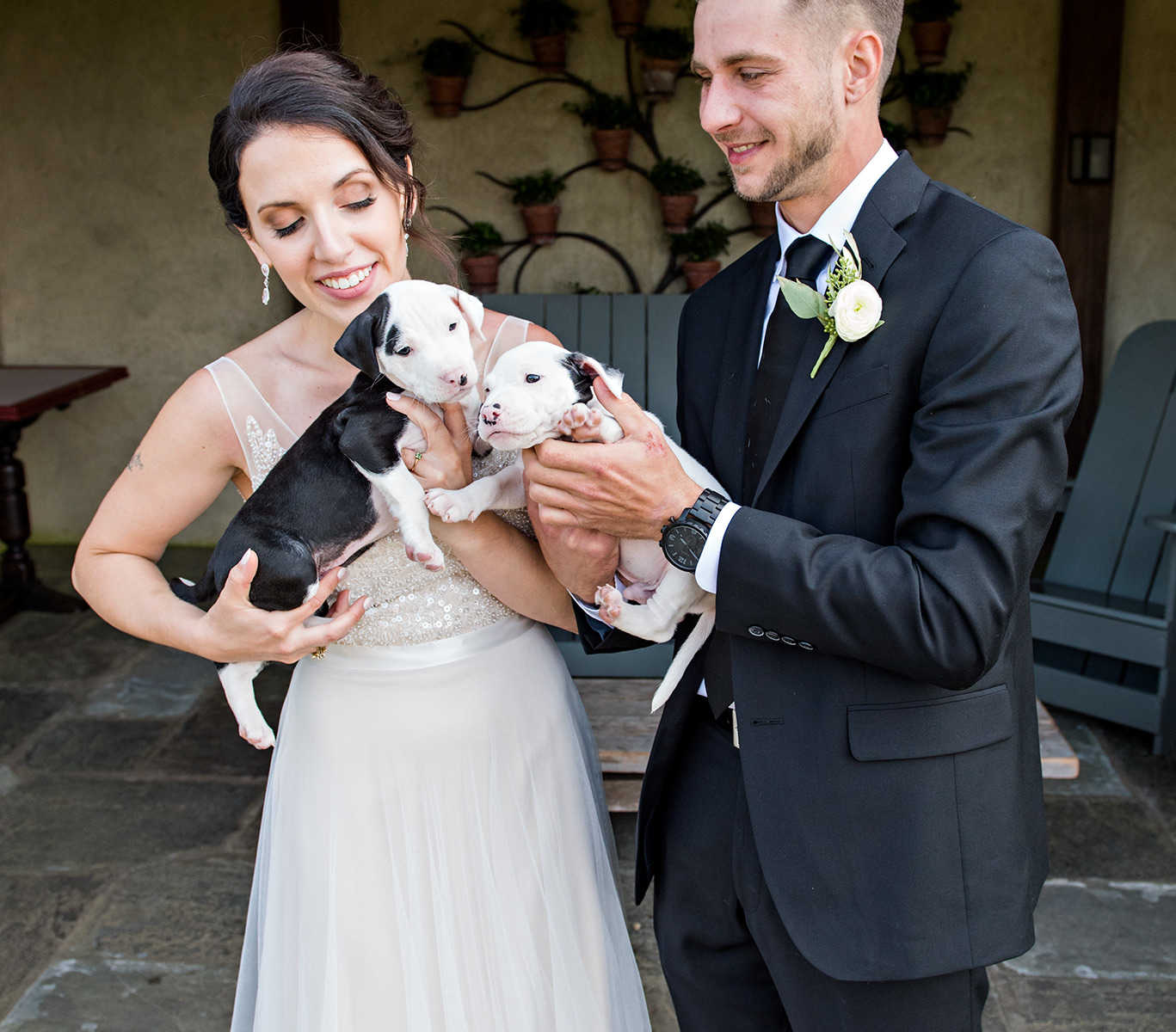 Bride and groom hold up rescue puppies so they are head to head