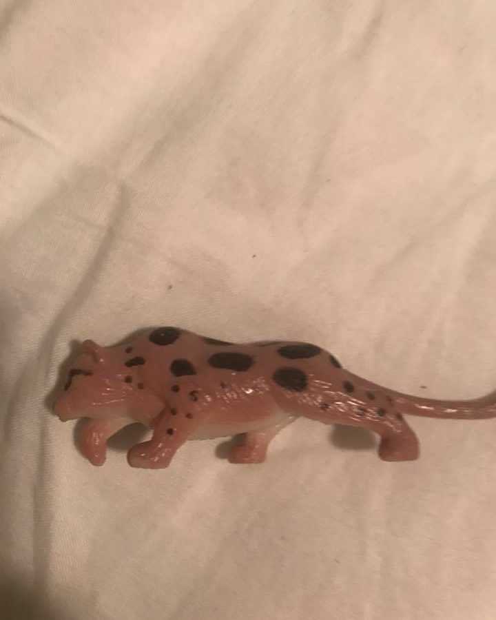 Toy leopard that son pretended was mouse in his bed