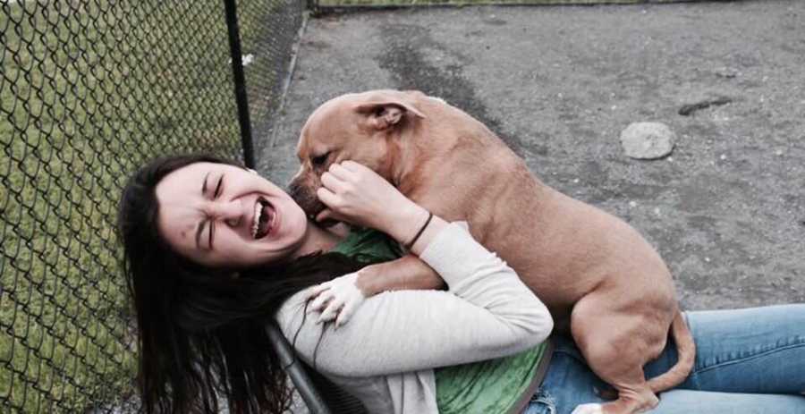 Woman sitting in chair leans back laughing as dog up for adoption sits on her lap licking her neck