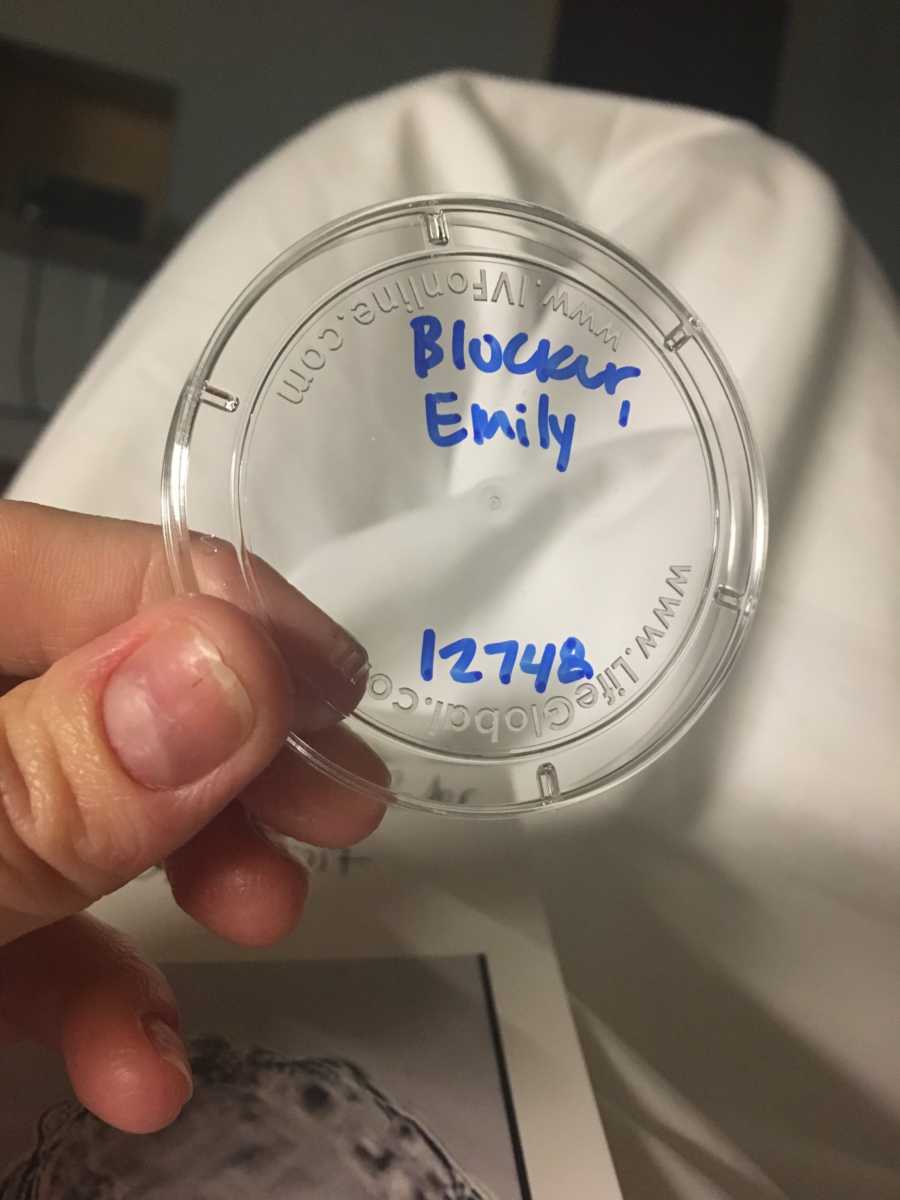 Petri dish containing IVF sample