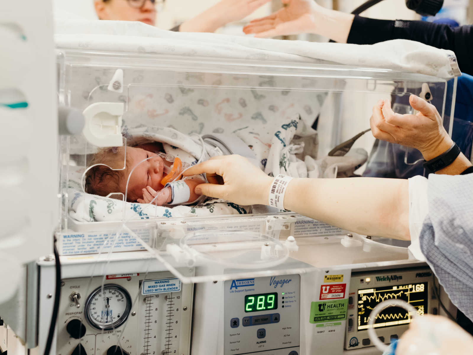 Newborn baby sleeping in NICU 