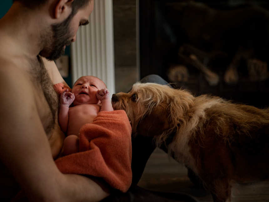 Shirtless father sitting on the ground holding newborn while little dog sniff's baby