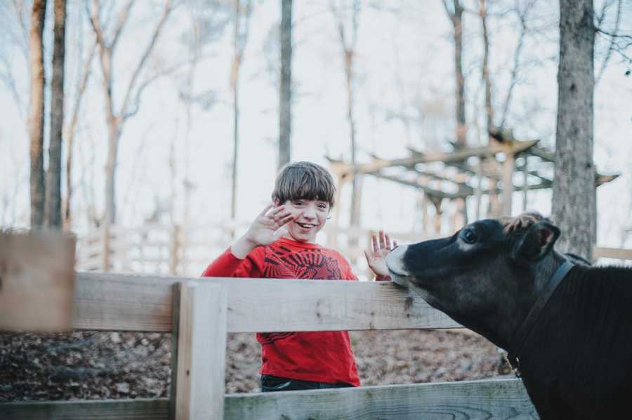 Boy who was adopted by his teacher smiles with hands up in front of cow